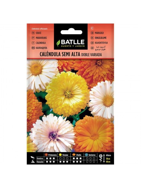 Calendula semi alta doble vda.