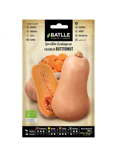 Calabaza anquito-butternut