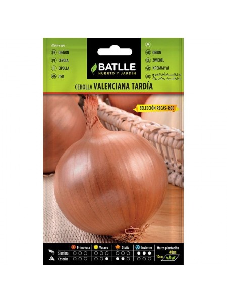 Cebolla valenciana tardia seleccion reca