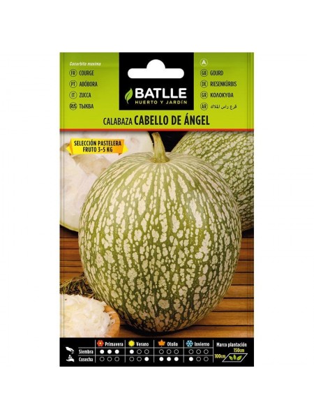 Calabaza cabello de angel