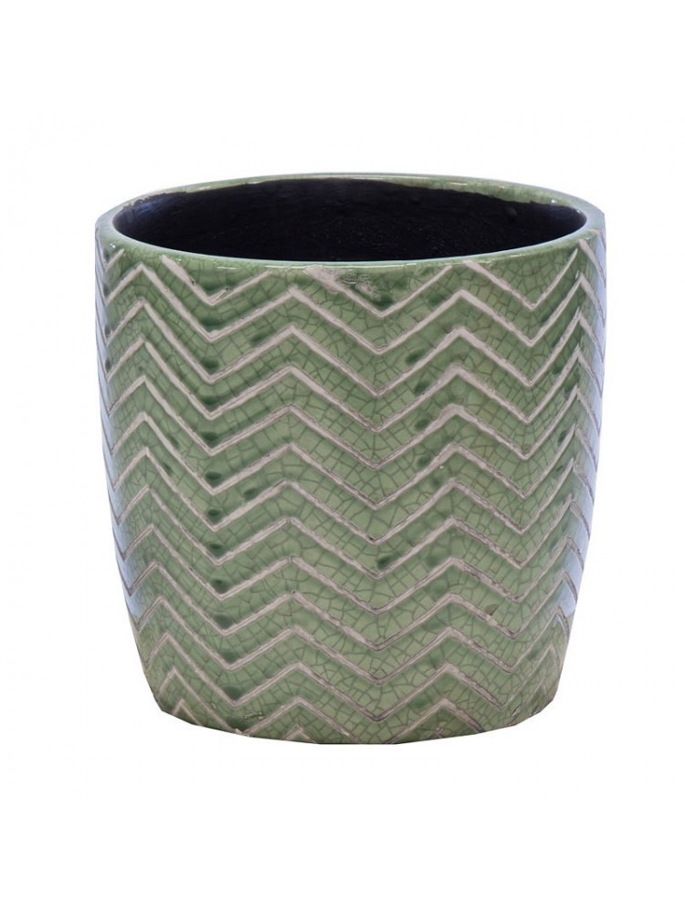 Shine fishboon egg green d20h19