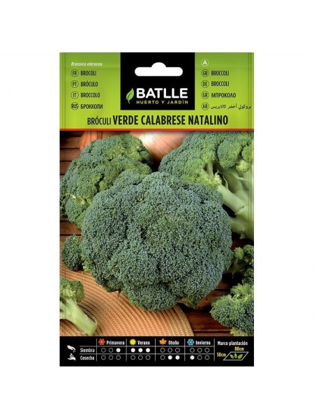 Broculi verde calabrese natalino