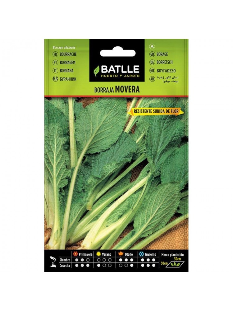 Borraja flor blanca movera