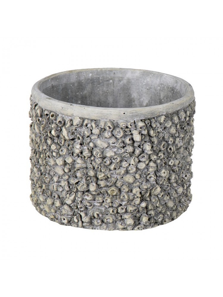 Ace barnacle round d20.5h17