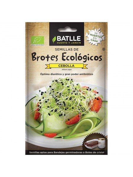 Brotes cebolla - eco