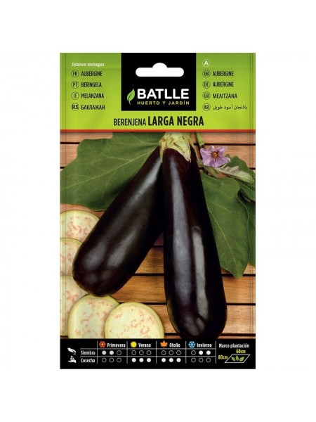 Berenjena larga negra