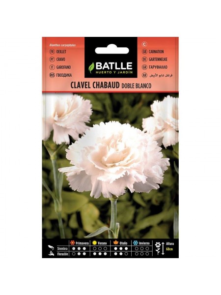 Clavel chabaud blanco