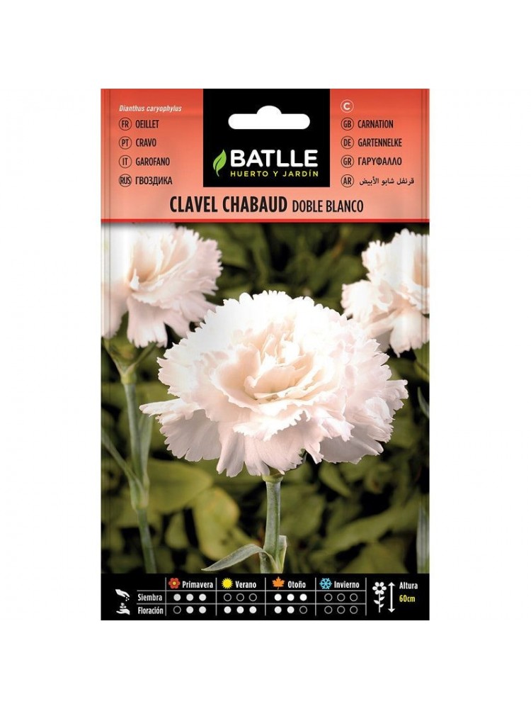Clavel chabaud blanco