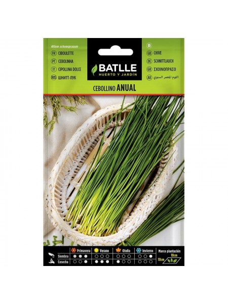 Aliso anual cesta plata