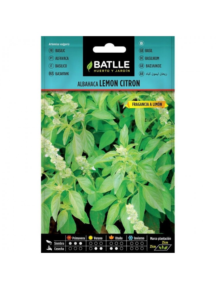 Albahaca lemon citron