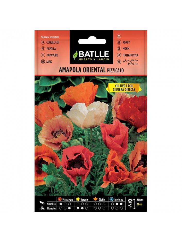 Amapola oriental pizzicato