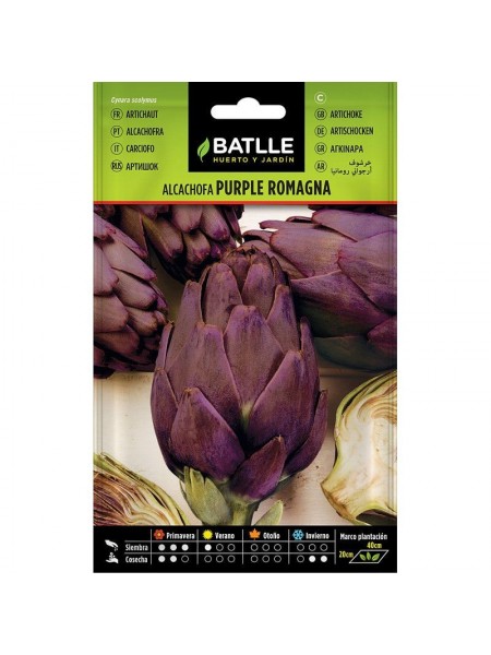 Alcachofa purple romagna