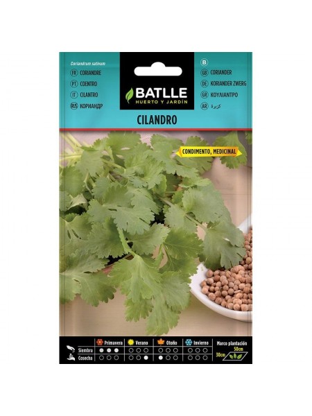 Cilandro - coriandrum sativum