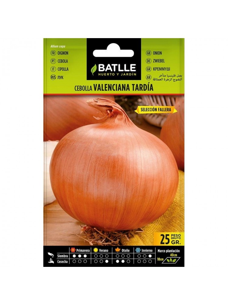 Cebolla valen. tardía sel. fallera