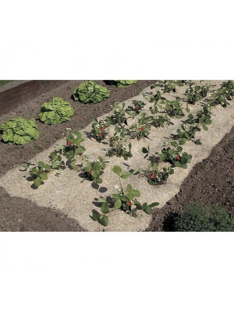 Acolchamiento flaxhemp 0,49x3